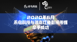 2020年6月禾鸟科技与湖南红兔影视传媒牵手成功